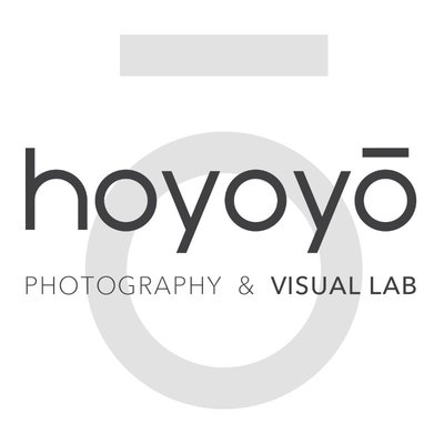 HOYOYO VISUAL LAB
