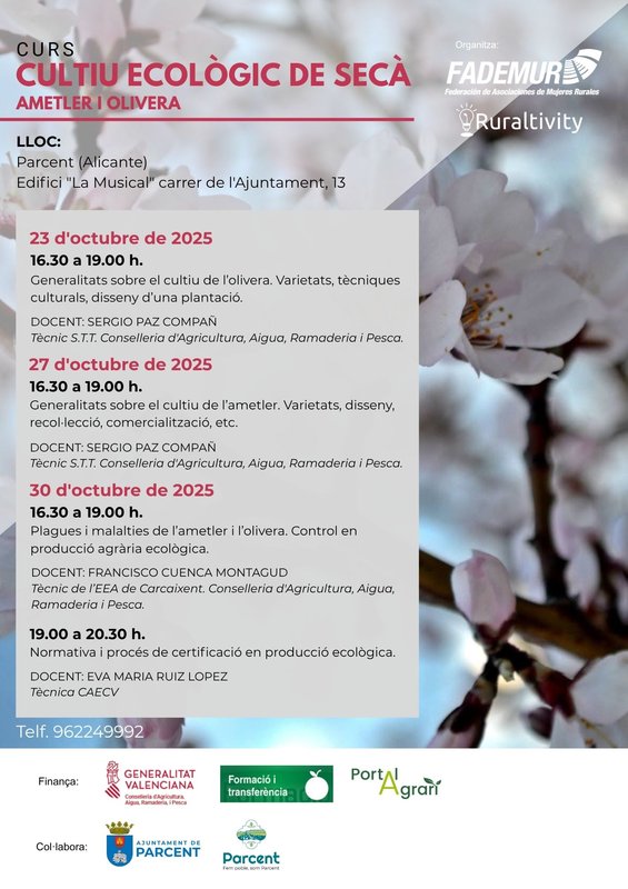 Programaci�n
