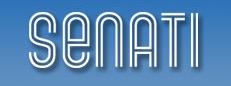 SENATI   -  David Senar Julia
