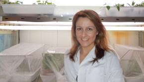 Águeda Pose (CV)