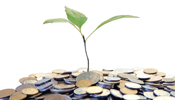 Venture Capital