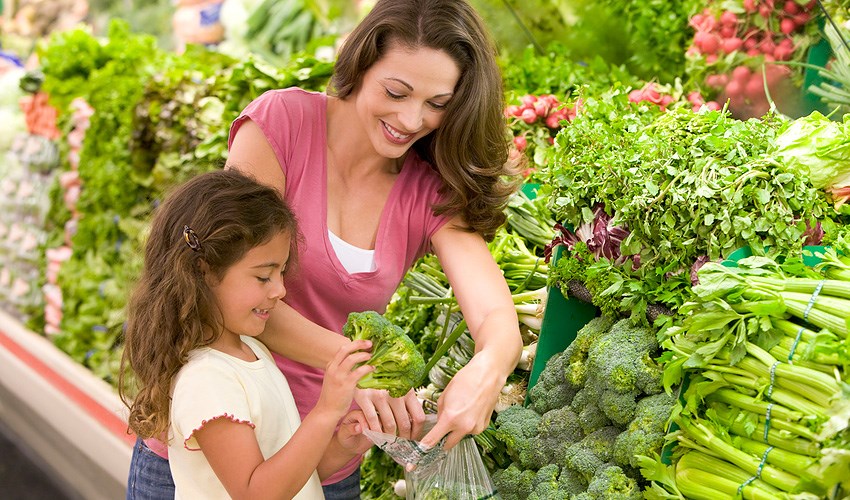 Tipos de verduras: Cuntas clases de verdura existen?