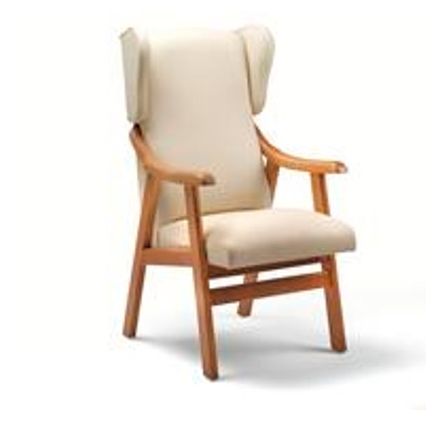 Sillon Geriatrico Orejero