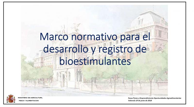 Ampliar imagen