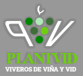 Viveros PlantVid S.L.